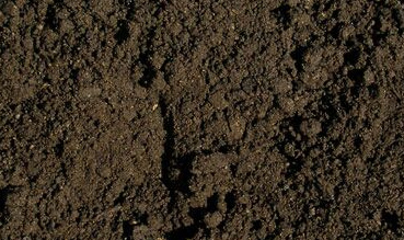 Preston Top Soil